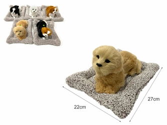 PIES Z GŁOSEM NA LEGOWISKU Z10174