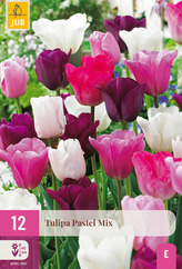 Karta XXL - Tulipán - Pastel Mix (12 cibulí) "E"
