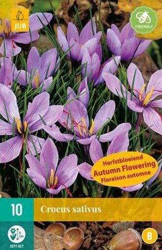 Karta - Krokus - Sativus (10 cibule) "B"