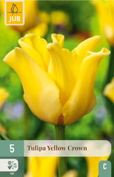 Karta - Tulipán - Yellow Crown (5 cibulí) "C"