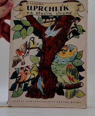 Uprchlík na ptačím stromě