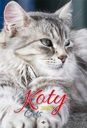 Kalendarz 2021 A3-13 Koty AVANTI