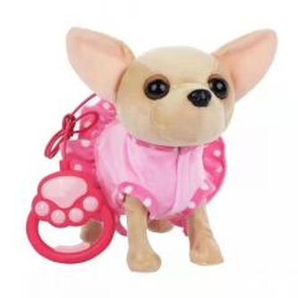 Piesek chodzący chihuahua