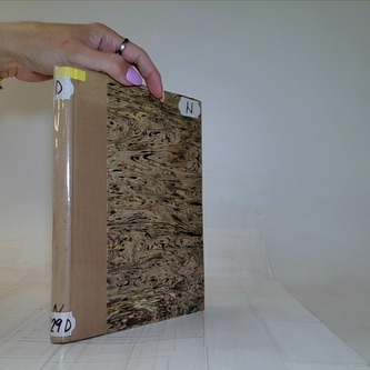 Život Emy Destinnové