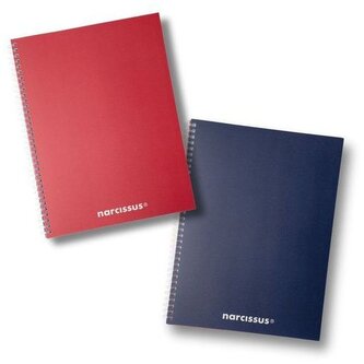 Kołonotes A4 80k kratka Swing Mono, Narcissus