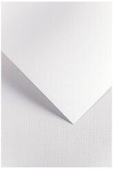 Karton ozdobny Kratka biały op. 20szt. 220 g/m2, Galeria Papieru