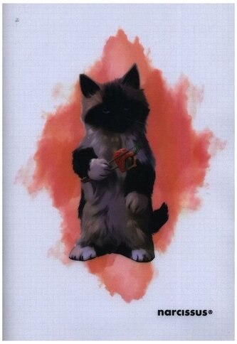 Zeszyt A4 60 k. kratka PP 80g, Joy, Narcissus