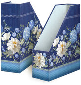 Archiwizator Spring Blooms, Argus