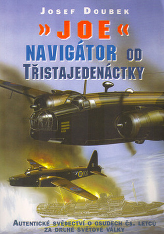 Joe, navigátor od 311 Joe, navigátor od 311