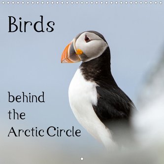 Birds behind the Arctic Circle (Wall Calendar 2021 300 × 300 mm Square)