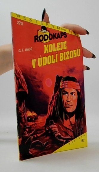 Koleje v údolí bizonů (270)