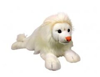 Lew biały 60cm