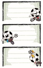 Avery Zweckform 59290 Školní etikety 76x40 mm, papírové, 9 ks