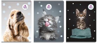 Zeszyt A4/60k Kratka The Sweet Pets