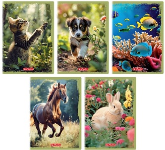 Zeszyt A5/32K linia podwójna Animals Herlitz 10 szt w opakowaniu Zeszyt A5/32K linia podwójna Animals Herlitz 10 szt w opakowaniu