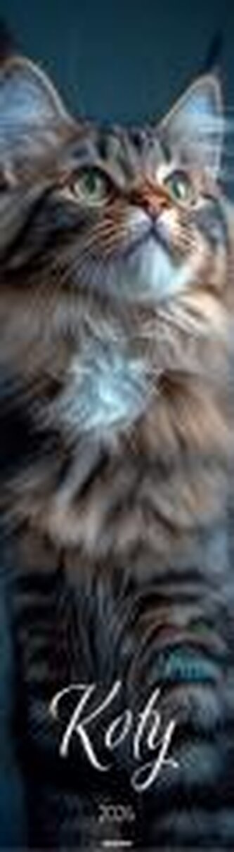 Kalendarz 2026 ścienny paskowy 13x46cm Koty