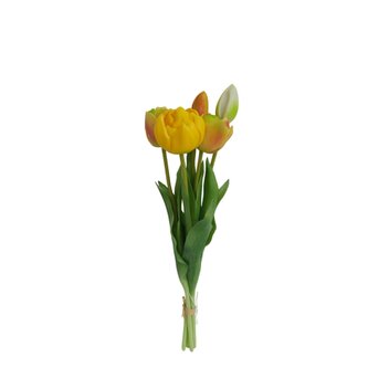 Tulipán svazek zeleno-žlutý, 5 ks  3018302-111
