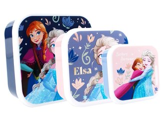 SADA 3 KS BOX NA SVAČINU FROZEN