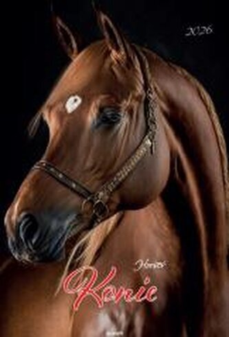 Kalendarz 2026 ścienny A3 Konie