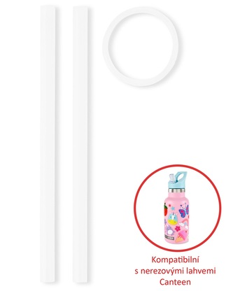 SKIP HOP Slámky náhradní na lahev nerezové 2ks