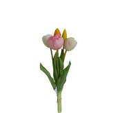 Tulipán svazek bílo-růžový, 5 ks  3018302-666