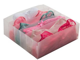 Transparentní organizer do zásuvky na spodní prádlo Compactor Optimo, 6 přihrádek