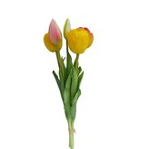Tulipán svazek žluto-oranžový, 5 ks  3018302-444