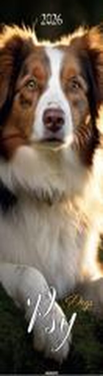 Kalendarz 2026 ścienny paskowy 13x46cm Psy