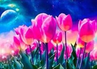 Mozaika diamentowa tulipany 30x40cm