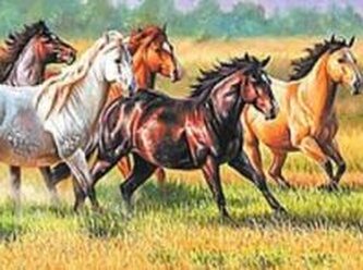 Mozaika diamentowa kobnie 30x40cm