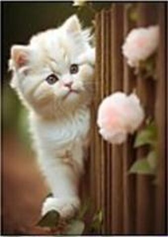 Mozaika diamentowa kotek 30x40cm