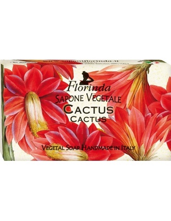 FLORINDA-PODZIMNÍ VŮNĚ: Rostlinné mýdlo „Kaktus“ 100g TML K2093