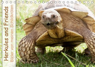 Herkules and Friends (Tischkalender 2021 DIN A5 quer)