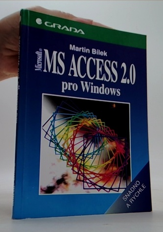 Ms Access 2.0 pro windows