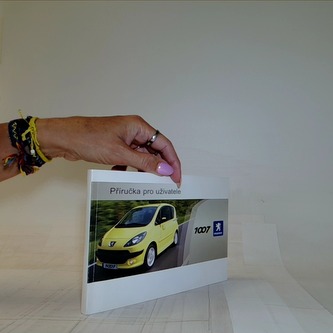 Příručka pro uživatele Peugeot 1007