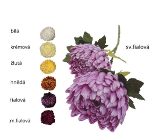 Chryzantéma bílá 70 cm