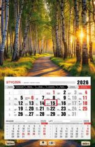 Kalendarz 2026 jednodzielny 3XL las