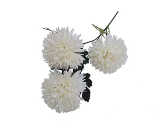 Chryzantéma bílá 65 cm