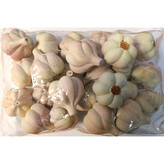 Česnek 24ks  819012A/24 ks