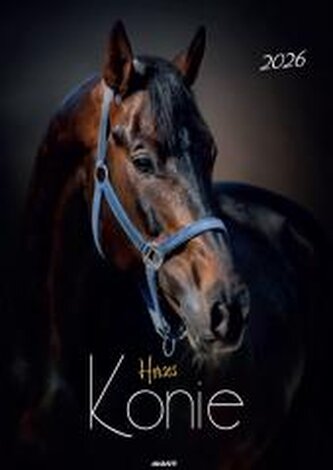 Kalendarz 2026 ścienny Konie