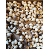 Houbička 72ks  327R35