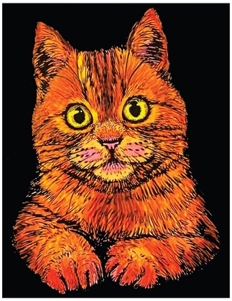 Kolorowanka welwetowa 47 x 35cm, Kot Domowy, Colorvelvet