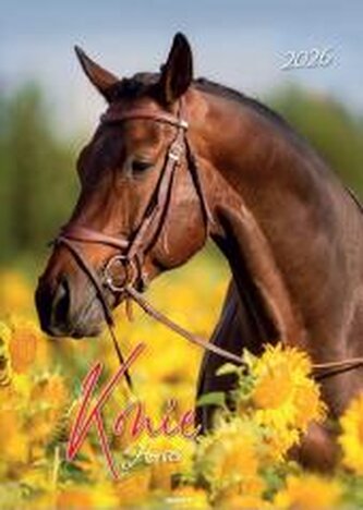 Kalendarz 2026 ścienny Konie