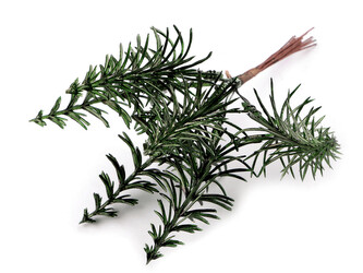 Stromeček na drátku do vánočních věnců a vazeb - 6 ks - 2 zelená