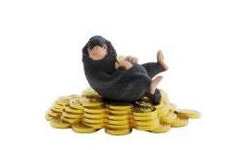 Niuchacz ze słotem Wizarding World