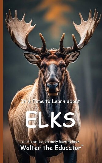 It's Time to Learn about Elks