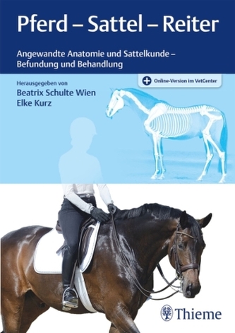 Pferd - Sattel - Reiter Pferd - Sattel - Reiter