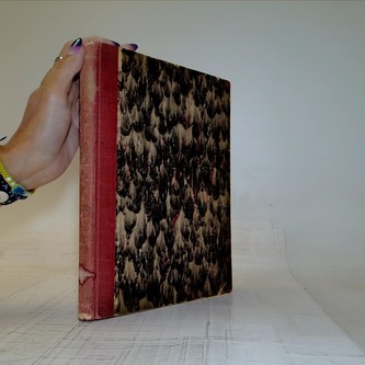 Mladá stráž - Časopis pro mládež (Ročník 11.)