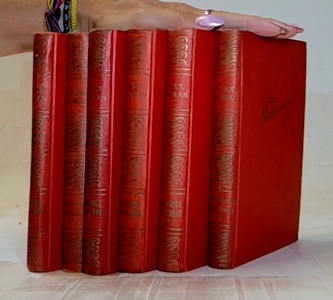 Hraběnka de Charny I.-VI.