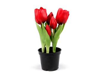 Umělé tulipány v květináči - 1 ks - 5 (21cm) červená